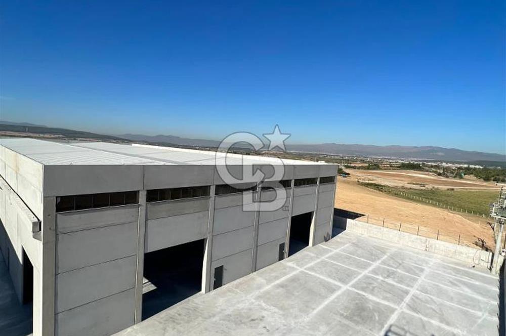 Menderes, Oğlananası Atatürk Mahallesi Kiralık Depo