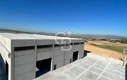 Menderes, Oğlananası Atatürk Mahallesi Kiralık Depo