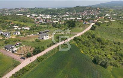 YALOVA MERKEZ'İN PARLAYAN BÖLGESİ KADIKÖY'DE! İMAR POTANSİYELLİ 11.935 m² TARLA!