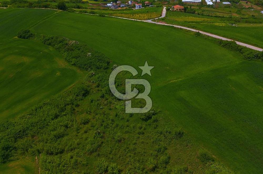 YALOVA MERKEZ'İN PARLAYAN BÖLGESİ KADIKÖY'DE! İMAR POTANSİYELLİ 11.935 m² TARLA!