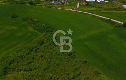 YALOVA MERKEZ'İN PARLAYAN BÖLGESİ KADIKÖY'DE! İMAR POTANSİYELLİ 11.935 m² TARLA!