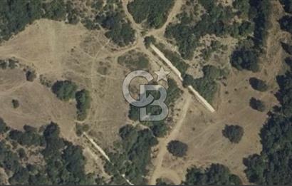 TEKİRDAĞ ,ŞARKÖY, MURSALLI'DA TEK TAPULU 2311 M2 TARLA