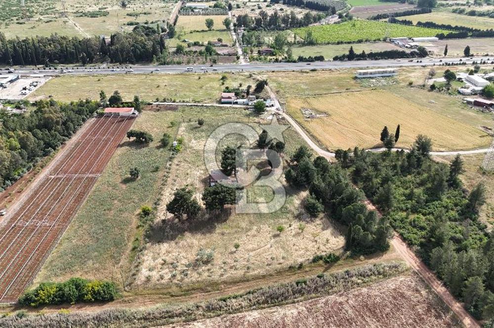 İZMİR AYDIN CD 150m MESAFEDE TEK TAPU 13500 m2 Arazi