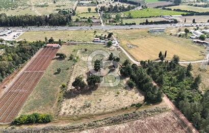 İZMİR AYDIN CD 150m MESAFEDE TEK TAPU 13500 m2 Arazi