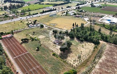 İZMİR AYDIN CD 150m MESAFEDE TEK TAPU 13500 m2 Arazi