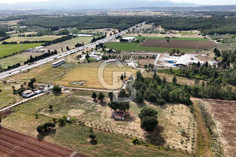 İZMİR AYDIN CD 150m MESAFEDE TEK TAPU 13500 m2 Arazi