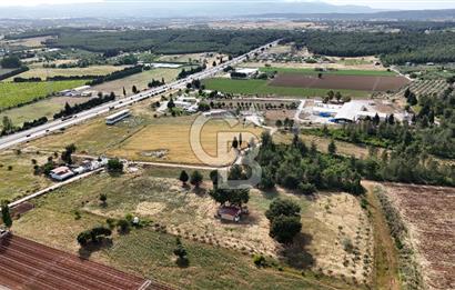 İZMİR AYDIN CD 150m MESAFEDE TEK TAPU 13500 m2 Arazi