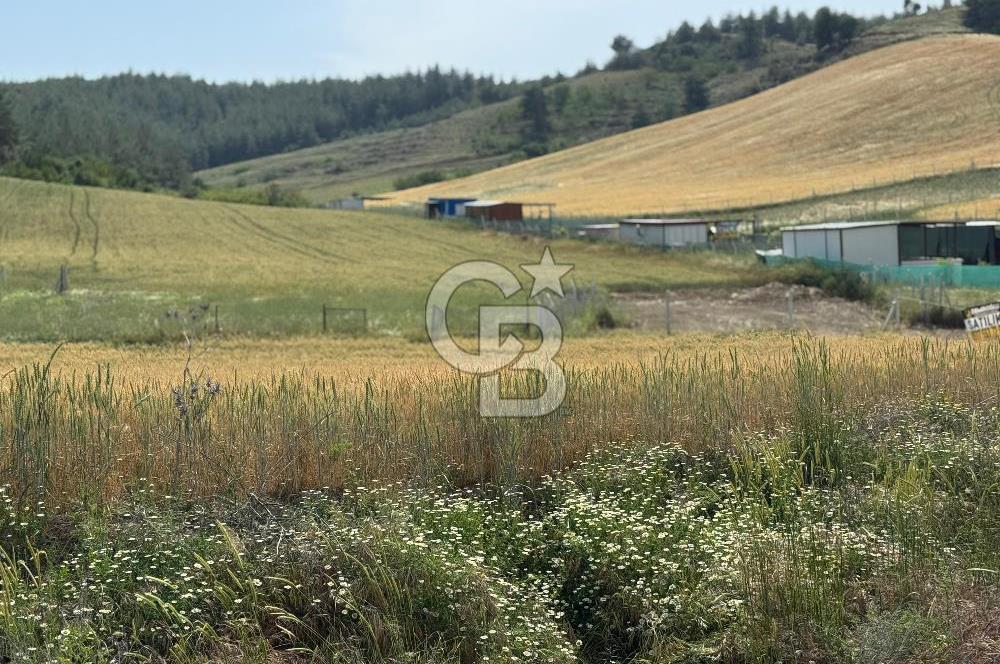 Satılık İmarlı Arsa- Balcalı Has.&Üniversitesi-Erkan Koleji Yanı 