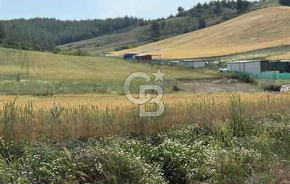 Satılık İmarlı Arsa- Balcalı Has.&Üniversitesi-Erkan Koleji Yanı