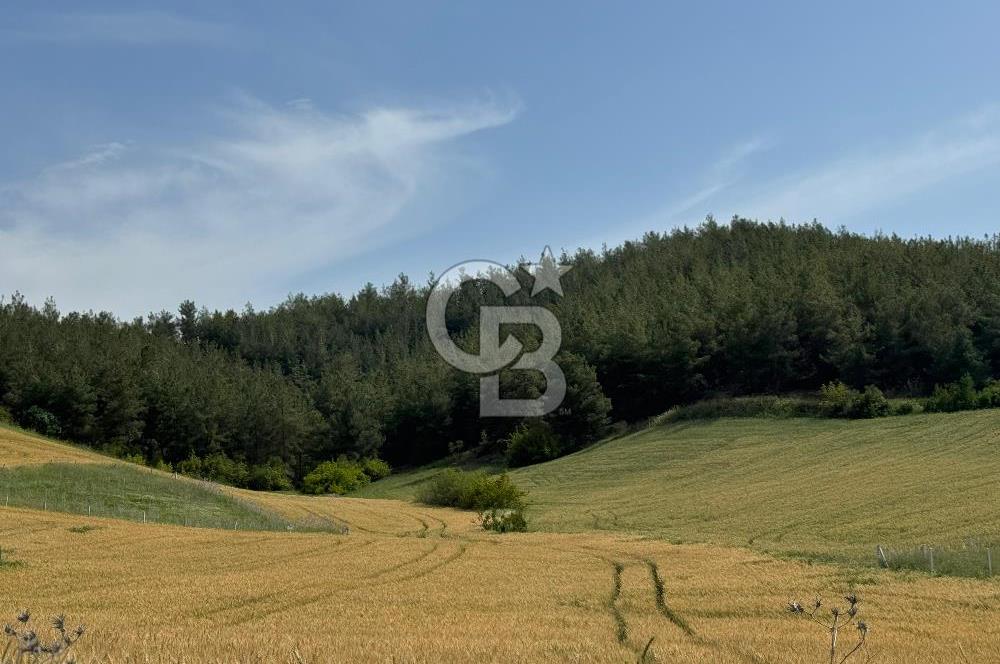 Satılık İmarlı Arsa- Balcalı Has.&Üniversitesi-Erkan Koleji Yanı 