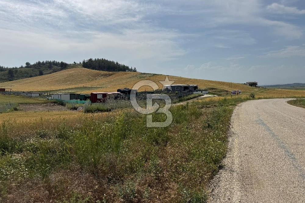 Satılık İmarlı Arsa- Balcalı Has.&Üniversitesi-Erkan Koleji Yanı 