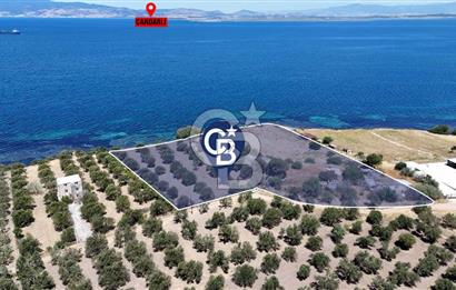 EŞSİZ KONUMDA DENİZE SIFIR 13112 M2 SATILIK TARLA