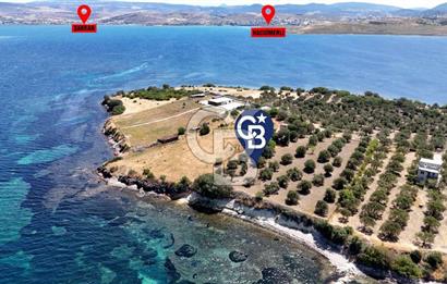 EŞSİZ KONUMDA DENİZE SIFIR 13112 M2 SATILIK TARLA