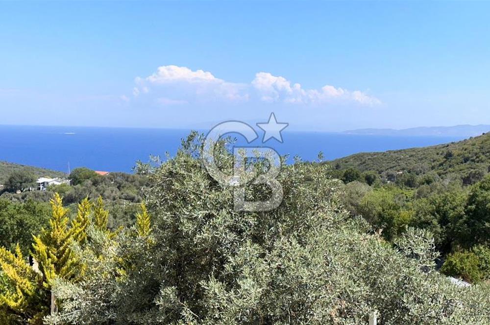 Eğlenhoca Mahallesi'nde 505 m² İçerisinde Tam Müstakil Villa