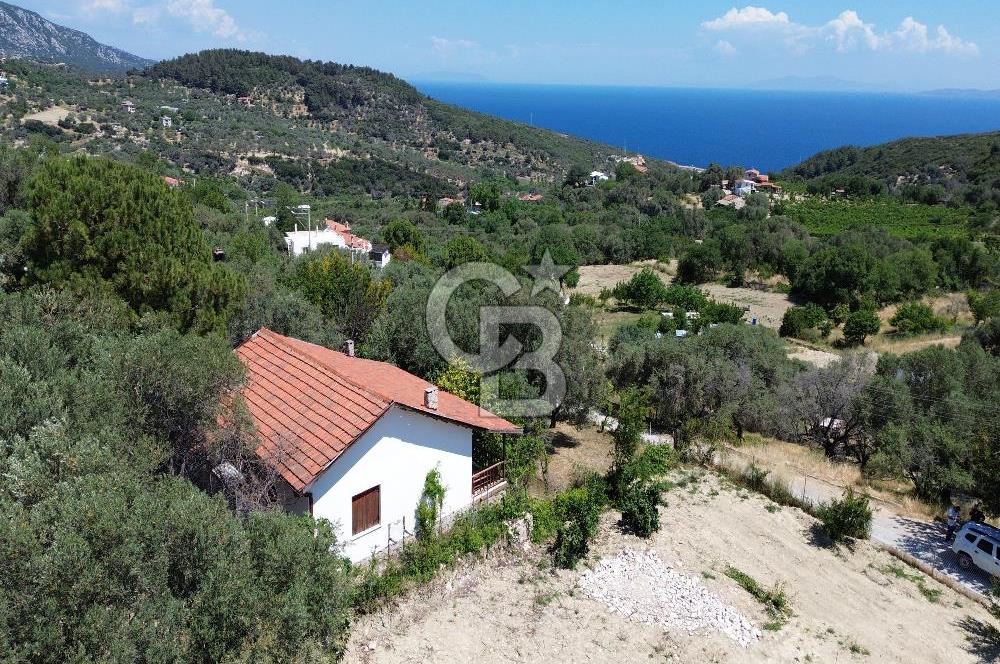 Eğlenhoca Mahallesi'nde 505 m² İçerisinde Tam Müstakil Villa