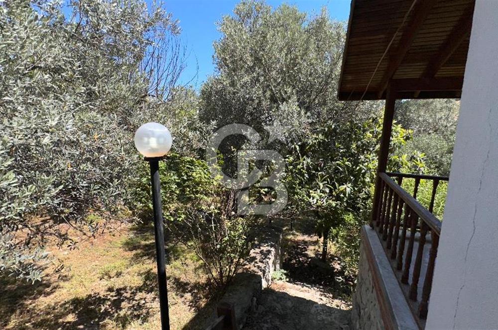 Eğlenhoca Mahallesi'nde 505 m² İçerisinde Tam Müstakil Villa
