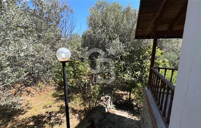 Eğlenhoca Mahallesi'nde 505 m² İçerisinde Tam Müstakil Villa