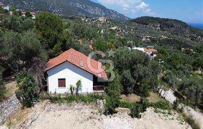 Eğlenhoca Mahallesi'nde 505 m² İçerisinde Tam Müstakil Villa