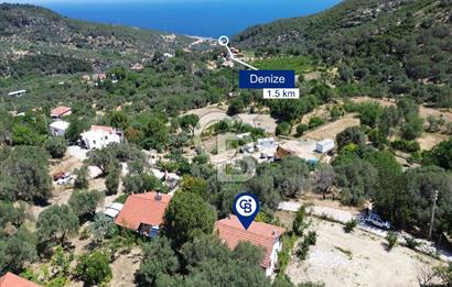 Eğlenhoca Mahallesi'nde 505 m² İçerisinde Tam Müstakil Villa