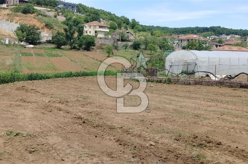 ŞİLE KÖMÜRLÜKTE SATILIK 760M2 ARSA YOLA CEPHE