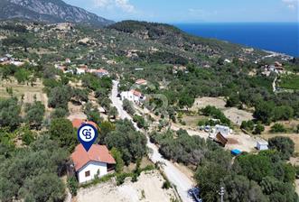 Eğlenhoca Mahallesi'nde 505 m² İçerisinde Tam Müstakil Villa