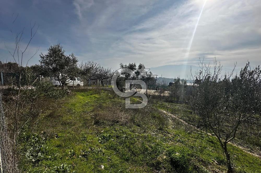 Bornova Yakaköy Mahallesinde Müstakil Satılık Arazi