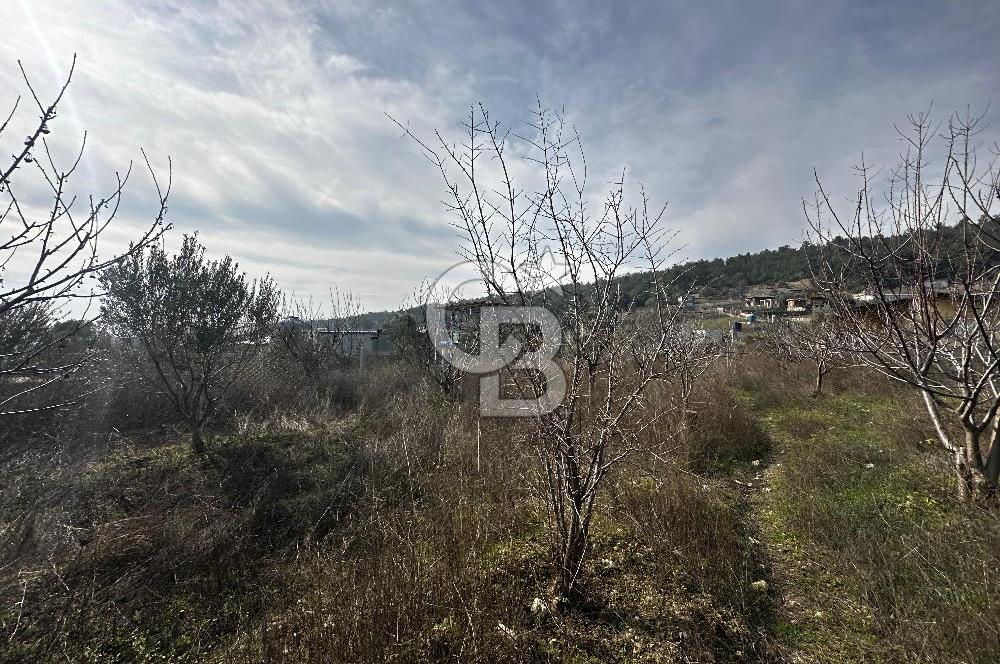 Bornova Yakaköy Mahallesinde Müstakil Satılık Arazi