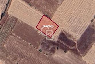 Denizli Bekilli Deşdemirde 1200 Mt2 Satılık Tarla