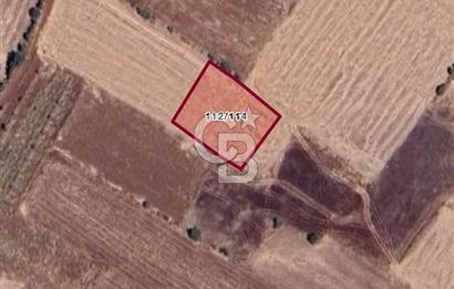 Denizli Bekilli Deşdemirde 1200 Mt2 Satılık Tarla
