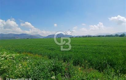 BURDUR BUCAK KIZILCAAĞAÇ SATILIK TARLA