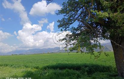 BURDUR BUCAK KIZILCAAĞAÇ SATILIK TARLA