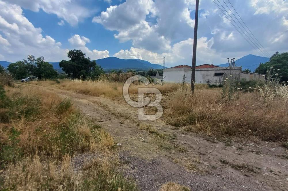 KEMALPAŞA, ARMUTLU HÜRRİYET'TE ASFALTIN KENARINDA 2 DÖNÜM TARLA