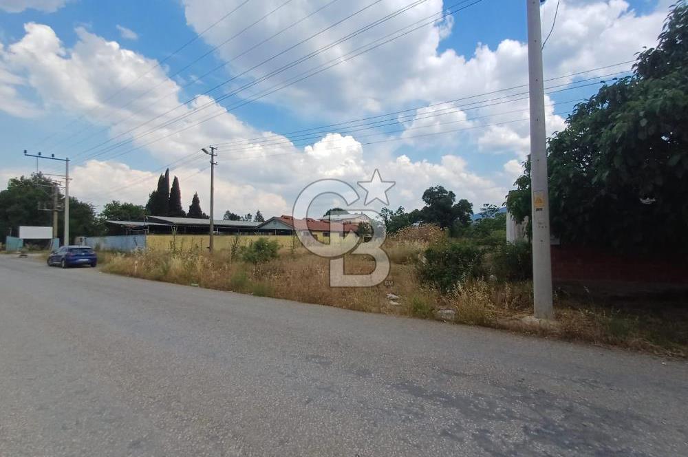 KEMALPAŞA, ARMUTLU HÜRRİYET'TE ASFALTIN KENARINDA 2 DÖNÜM TARLA