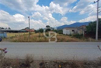 KEMALPAŞA, ARMUTLU HÜRRİYET'TE ASFALTIN KENARINDA 2 DÖNÜM TARLA