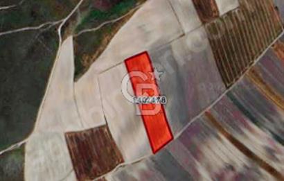 Kapaklı Bahçeağıl'da Yola Cephe 15.025m2 Müstakil Parsel Arazi