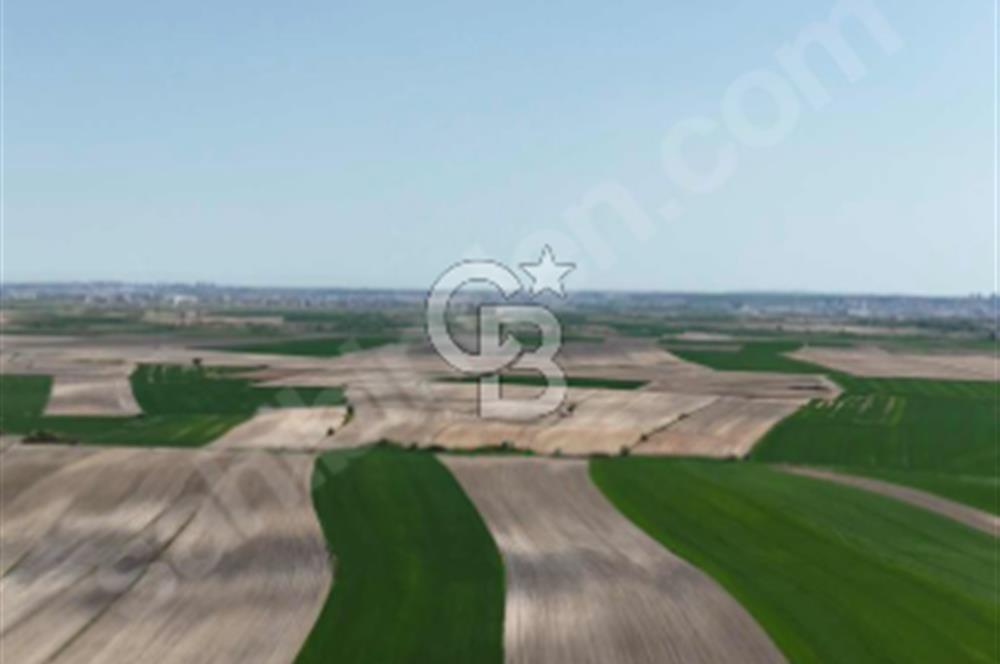 Kapaklı Bahçeağıl'da Yola Cephe 15.025m2 Müstakil Parsel Arazi
