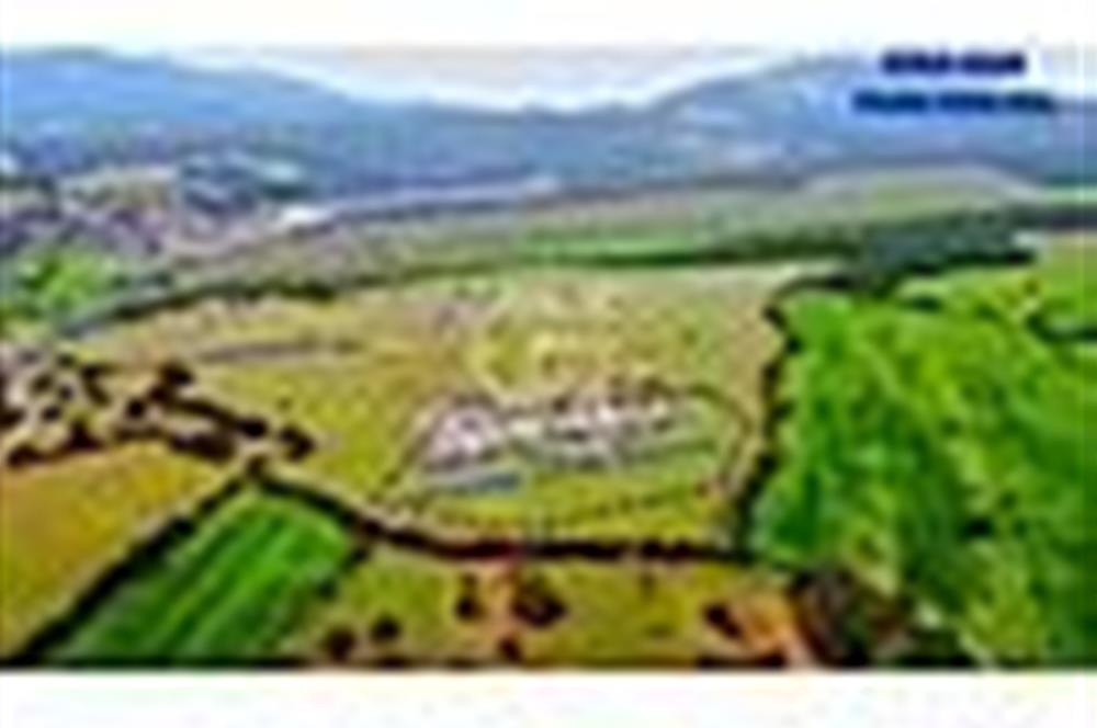 Denizli Tavas Yaka Mah. Satılık Villalık Arsa
