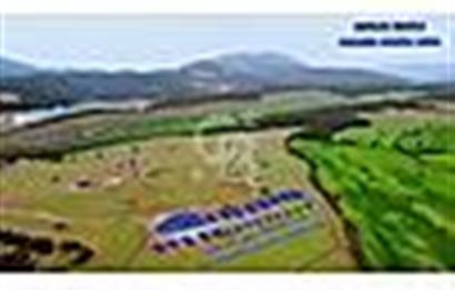 Denizli Tavas Yaka Mah. Satılık Villalık Arsa