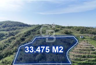 CB PARK/SEFA KIZILDAĞ'DAN MAHMUTLU'DA 33.475 M2 FIRSAT TARLA