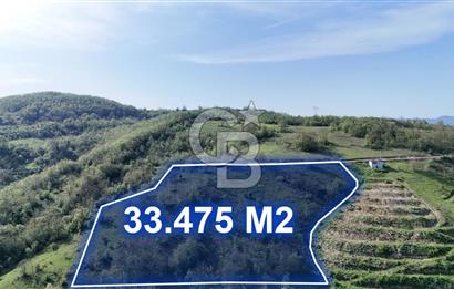 CB PARK/SEFA KIZILDAĞ'DAN MAHMUTLU'DA 33.475 M2 FIRSAT TARLA