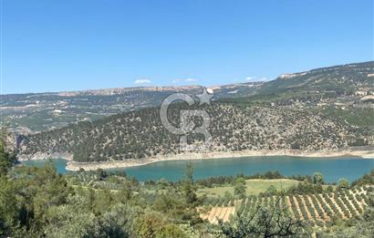Muğla menteşe Çamoluk mahallesinde satılık zeytinlik