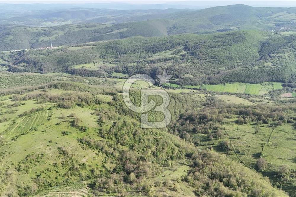 CB PARK/SEFA KIZILDAĞ'DAN MAHMUTLU'DA 33.475 M2 FIRSAT TARLA