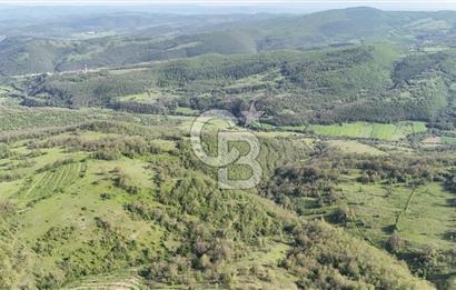 CB PARK/SEFA KIZILDAĞ'DAN MAHMUTLU'DA 33.475 M2 FIRSAT TARLA