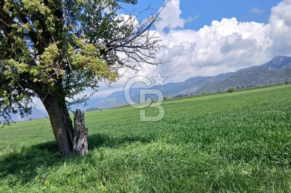 BURDUR BUCAK KIZILCAAĞAÇ SATILIK TARLA