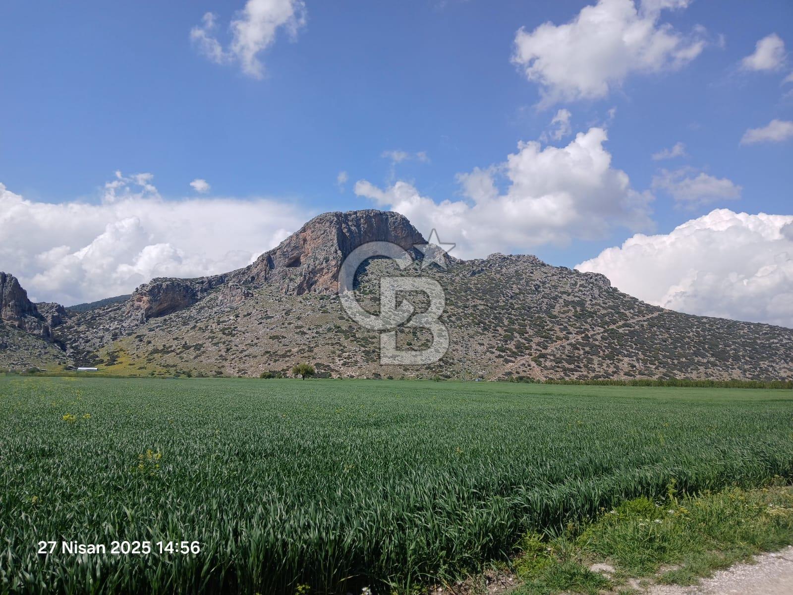 BURDUR BUCAK KIZILCAAĞAÇ SATILIK TARLA