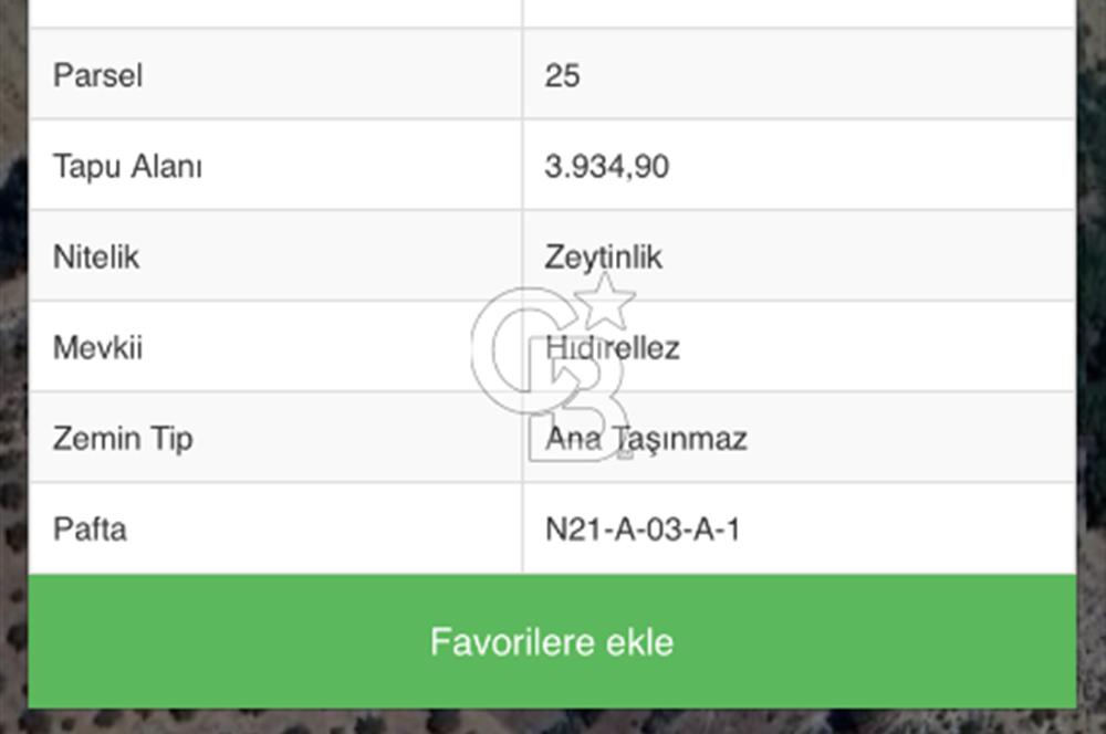Muğla menteşe Çamoluk mahallesinde satılık zeytinlik