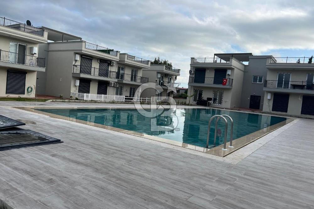 Foça Yenibağarası Havuzlu Sitede 1+1 Kiralık Sıfır Daire