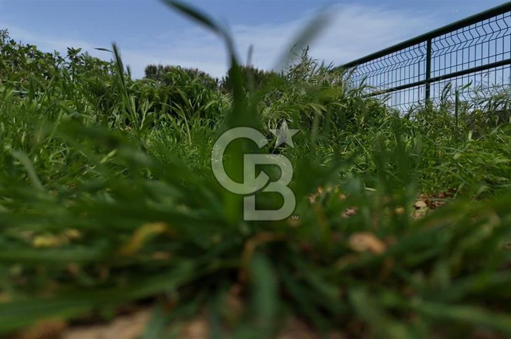 Bahçeşehir Bademde Kiralık Geniş Bahçeli 4+2 Köşe Villa