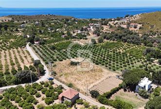 KARABURUN BADEMBÜKÜ'nde 3.157 m² YATIRIMLIK TARLA!