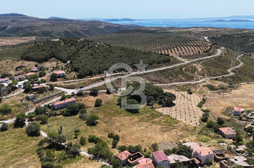 EŞSİZ KONUMDA KÖY İÇİ TARLA – KARABURUN PARLAK MAHALLESİ – 4.079 M